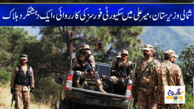 Terrorist News in Urdu