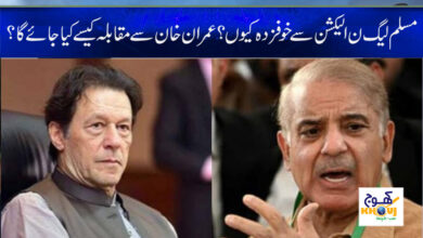 shahbaz sharif or imran khan