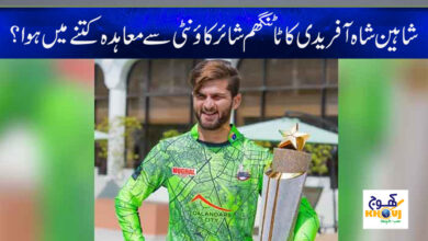Shaheen Shah Afridi News in Urdu