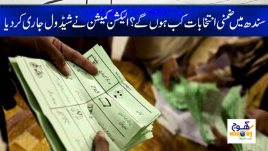 Zimni Elections News in Urdu