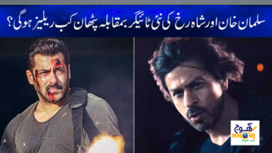 Tiger vs Pathan New Movie News