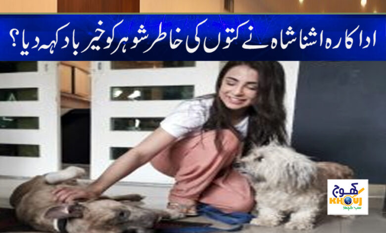 Ishna Shah Latest News in Urdu