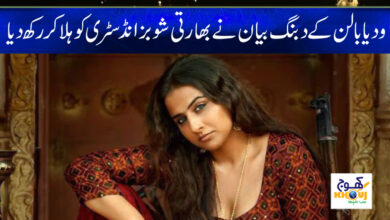 Vidya Balan Bold Statement in Urdu