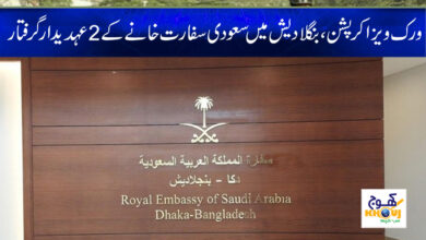 Work Visa Corruption News in Urdu