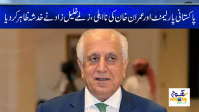 Zalmay Khalilzad Statement in Urdu