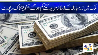 Foreign exchange reserves