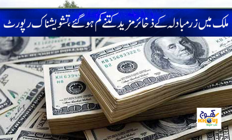 Foreign exchange reserves