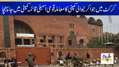 Cricket Gambling Company Case News