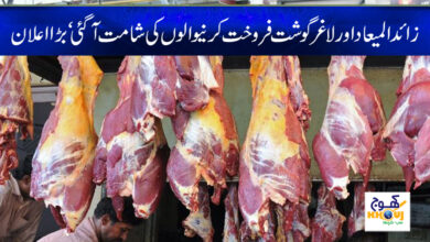 Punjab Food Authority News in Urdu