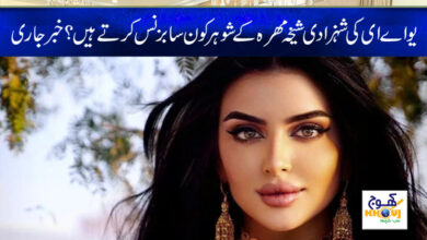 Princess Sheikha Mahra News in Urdu