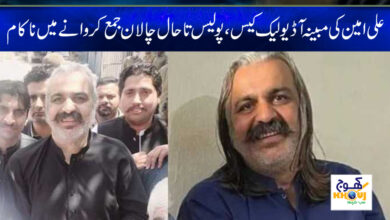 ali amin gandapur news