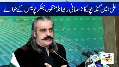 Ali Amin Physical Remand News in Urdu