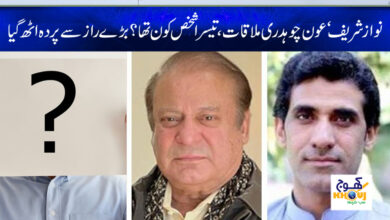 aun chaudhry meeting with nawaz sharif