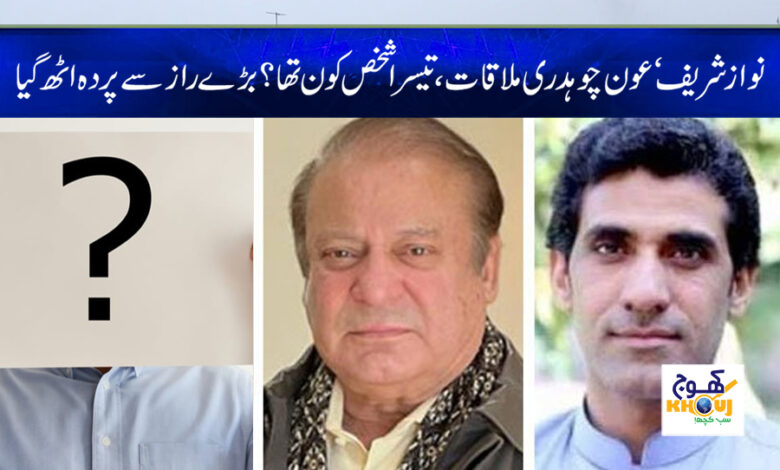 aun chaudhry meeting with nawaz sharif