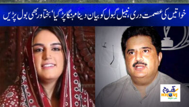 Nabil Gabol Statement in Urdu
