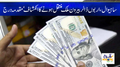 Dollar Transfer Abroad Case News in Urdu