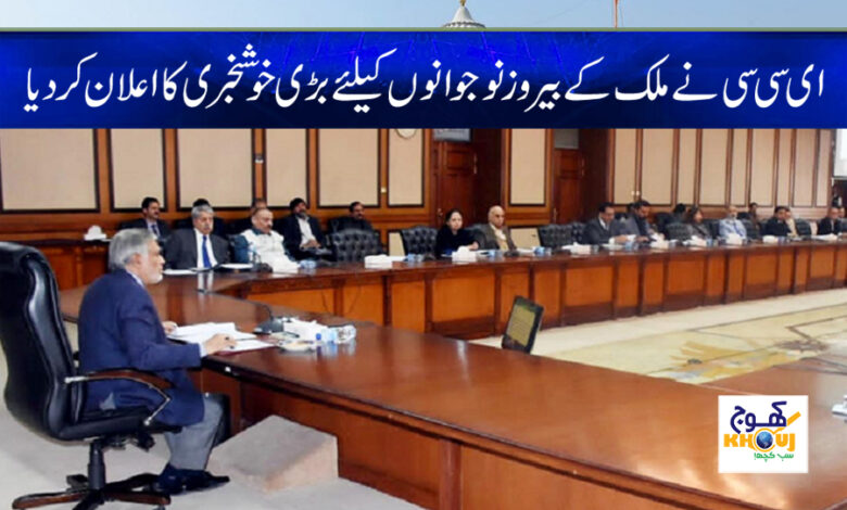 Good News for Unemployed Youth News