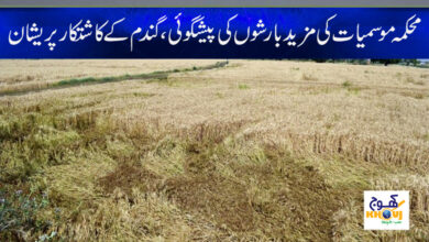 Weather News in Urdu