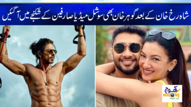 Shahrukh Khan News in Urdu