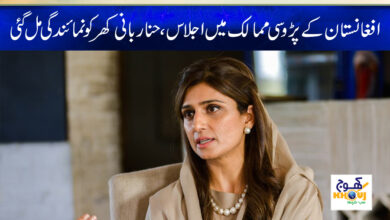 Hina Rabani Khar News in Urdu