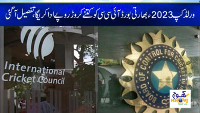 World Cup 2023 News in Urdu