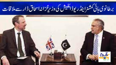 British Andrew Dylish Meeting with Ishaq Dar