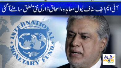 ishaq dar and imf news