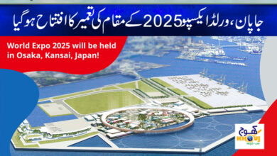World Expo 2025 Site News in Urdu