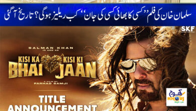 Salman Khan New Film News in Urdu