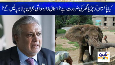 Economic Crisis News in Urdu