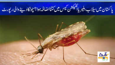 malaria news