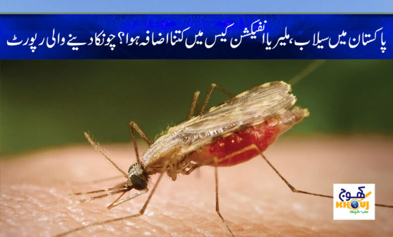 malaria news