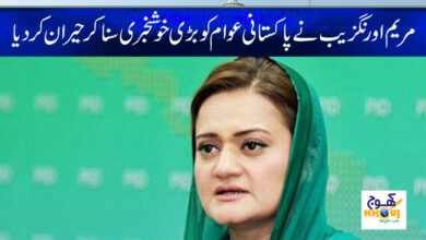 Maryam Aurangzeb News in Urdu