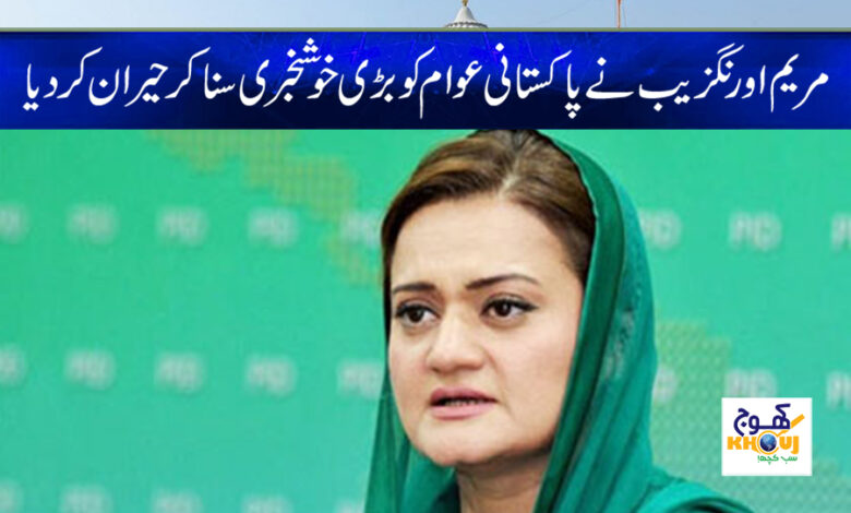 Maryam Aurangzeb News in Urdu
