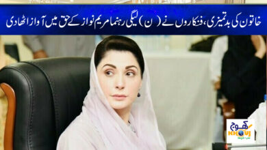 Maryam Nawaz News in Urdu