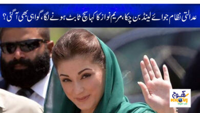 Maryam Nawaz News in Urdu