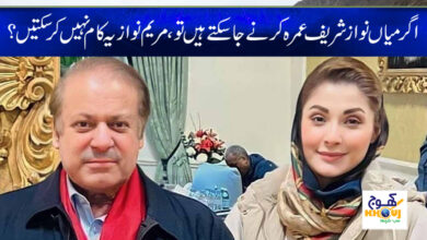 Maryam Nawaz News in Urdu