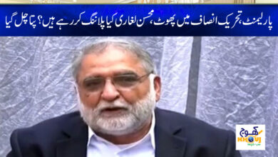 Mohsin Leghari News in Urdu