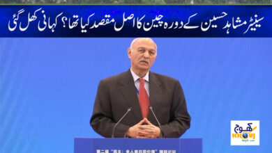 Mushahid Hussain News in Urdu