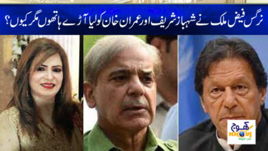Nargis Faiz Malik News in Urdu