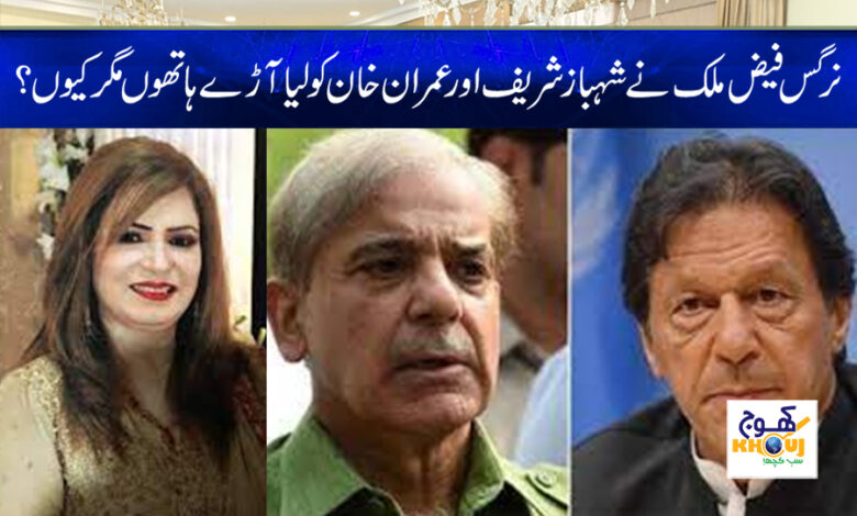 Nargis Faiz Malik News in Urdu