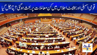 Senate Meeting News in Urdu