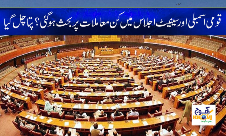 Senate Meeting News in Urdu