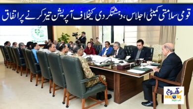 National Security Committee News in Urdu