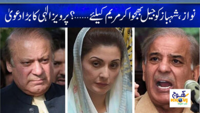 Parvez Elahi Claim News in Urdu