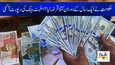 State Bank Report News in Urdu