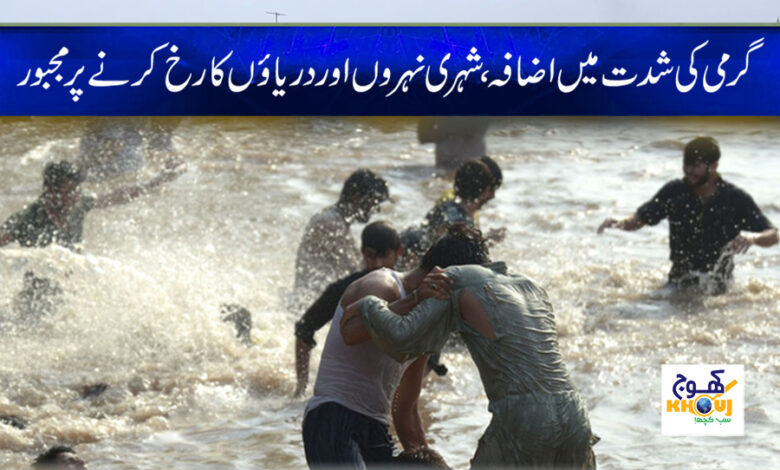 people in beach and canal