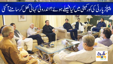 PPP Decision News in Urdu