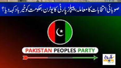 Provincial Elections News in Urdu