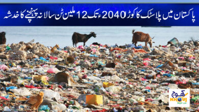 plastic garbage news